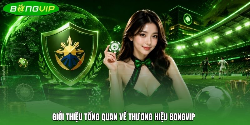Nói vài nét tổng quan về thương hiệu BONGVIP