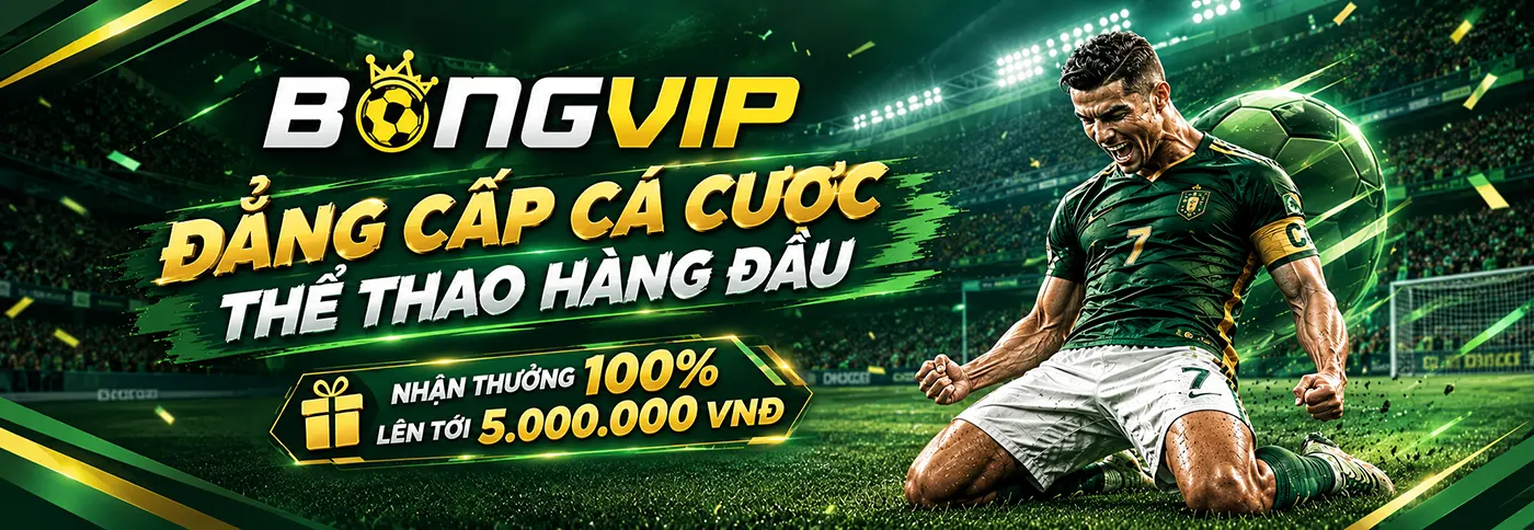 banner-bongvip