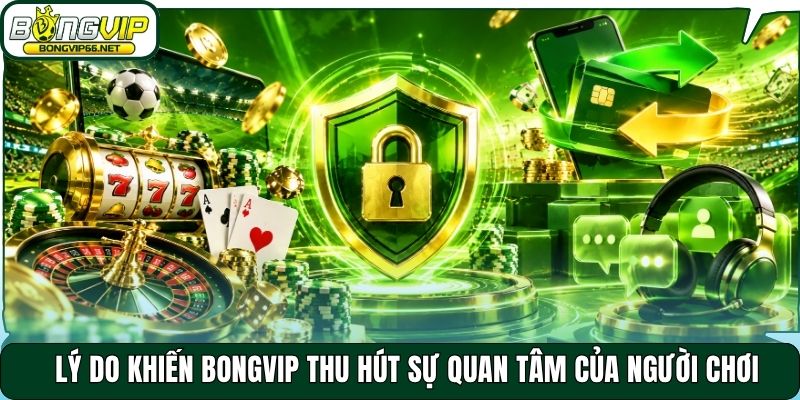 Lý do khiến Bongvip thu hút sự quan tâm của người chơi